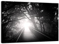 Foggy Forest Bridge Wall Art