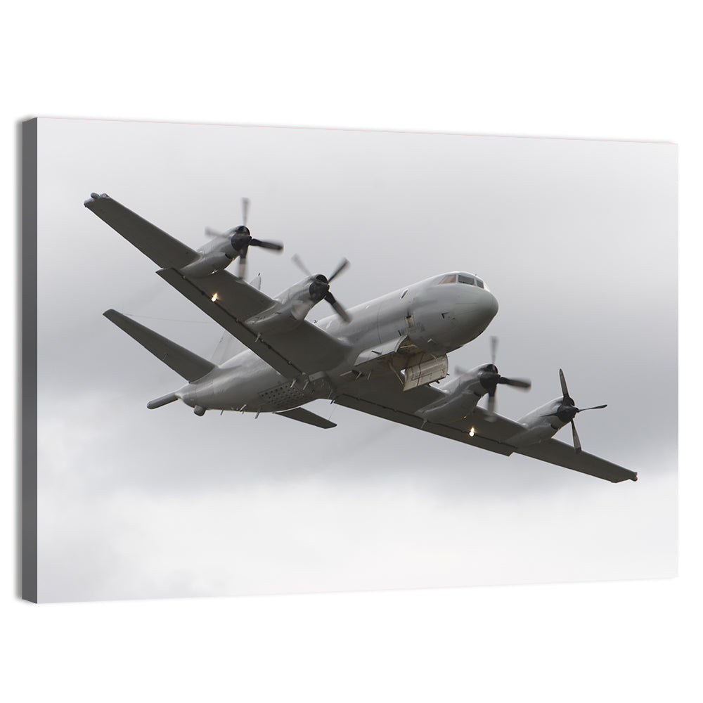Four-engine Maritime Surveillance Aircraft Wall Art, canvas print, landscape