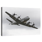 Four-engine Maritime Surveillance Aircraft Wall Art