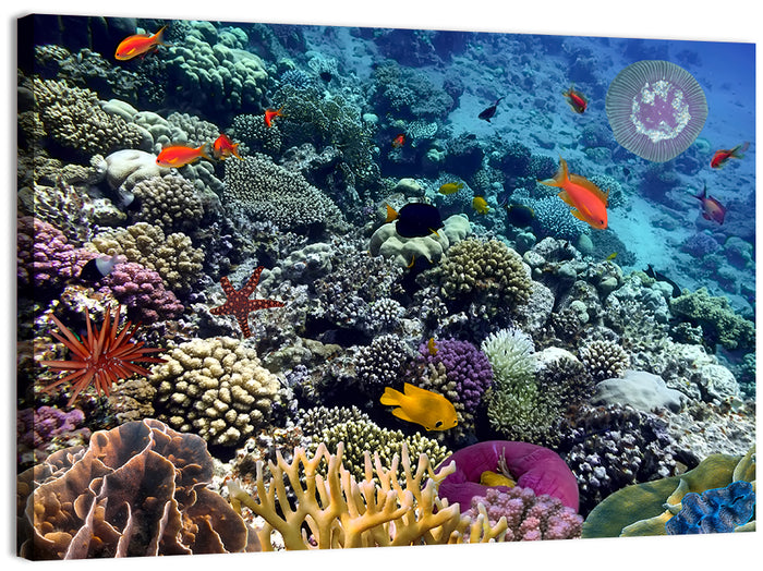 Vibrant Coral Reef Scene Wall Art as a canvas print
