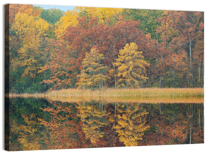 Douglas Lake Autumn Reflection Wall Art