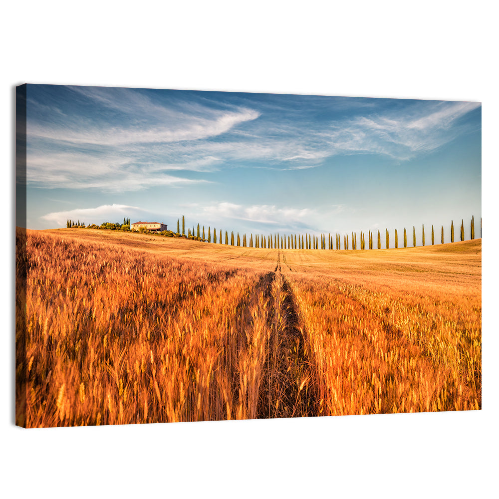 Tuscan Wheat Field Wall Art, canvas print, landscape