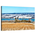 Seneca Lake Vineyard Wall Art