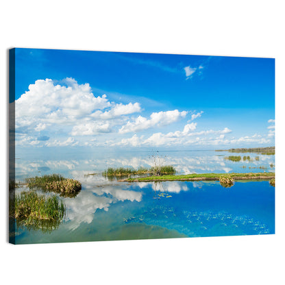 Lake Apopka Reflection Wall Art