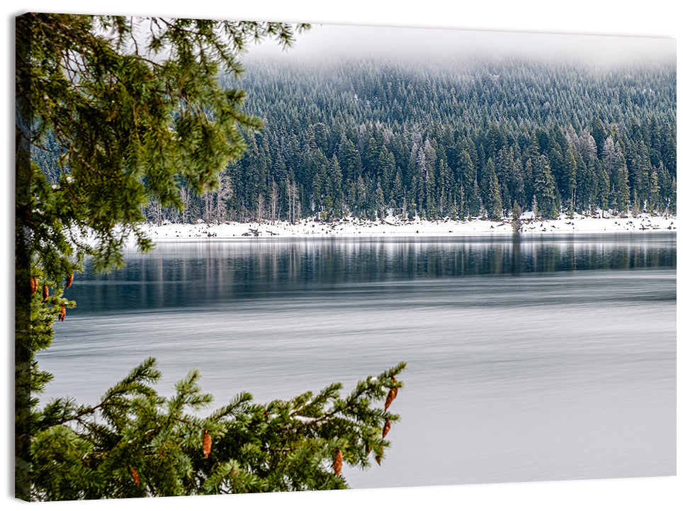 Lake Kachess Foggy Shore Wall Art