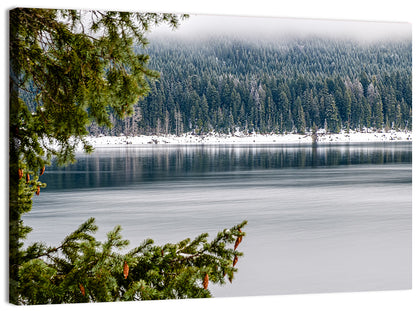 Lake Kachess Foggy Shore Wall Art