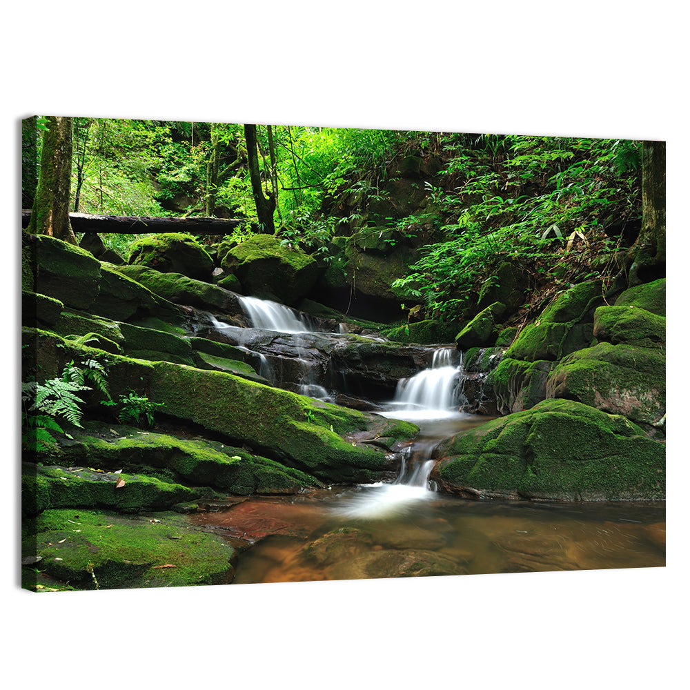Mossy Rainforest Stream Wall Art