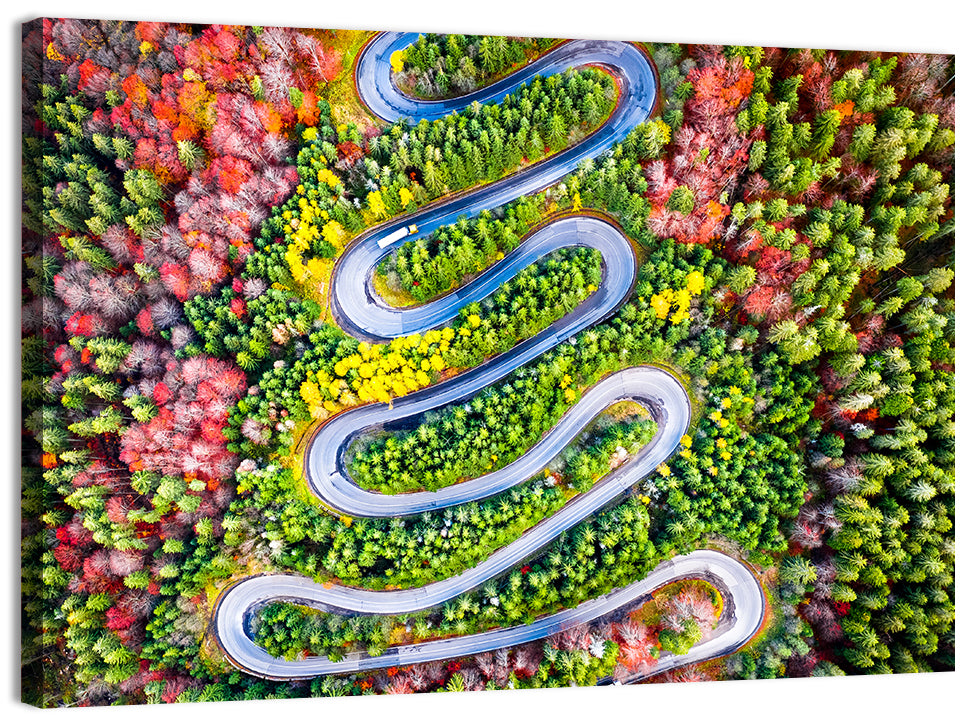 Cheia Autumn Winding Road Wall Art, canvas print, landscape