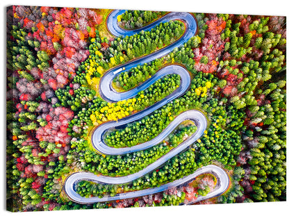 Cheia Autumn Winding Road Wall Art