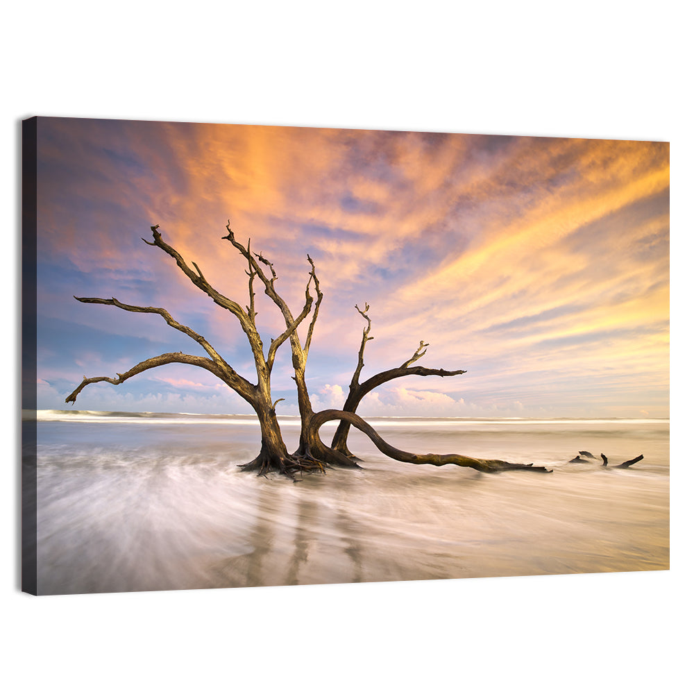 Folly Beach Driftwood Sunset Wall Art