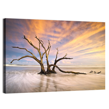 Folly Beach Driftwood Sunset Wall Art