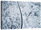 Winding Snow-covered Forest Road Wall Art