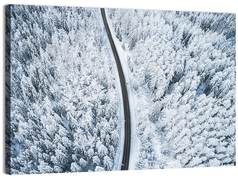 Winding Snow-covered Forest Road Wall Art