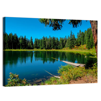 Parrish Lake Reflection Wall Art