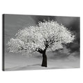 Monochrome Cherry Tree in Winter Wall Art