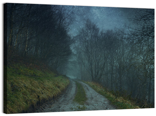 Misty Forest Pathway Wall Art