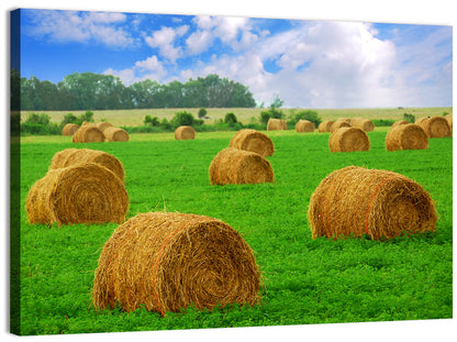 Golden Hay Bales in Green Field Wall Art