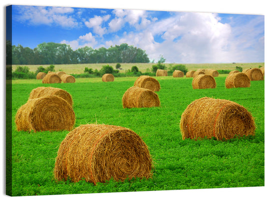 Golden Hay Bales in Green Field Wall Art