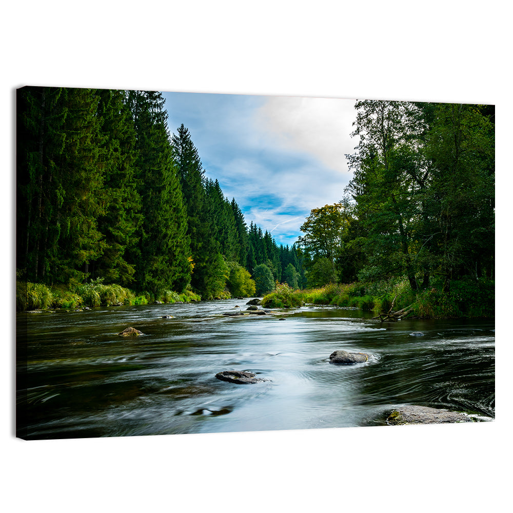 Bavarian Forest River Wall Art, canvas print, landscape