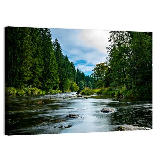 Bavarian Forest River Wall Art