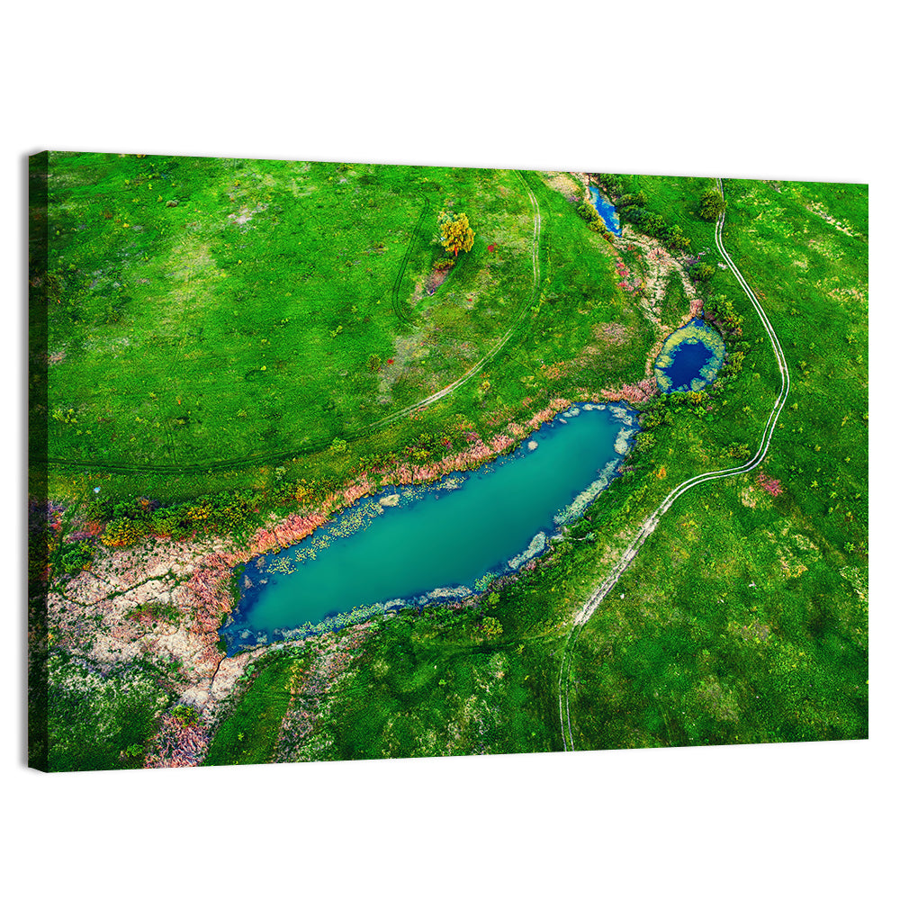 Meadows Lake Aerial Wall Art, canvas print, landscape