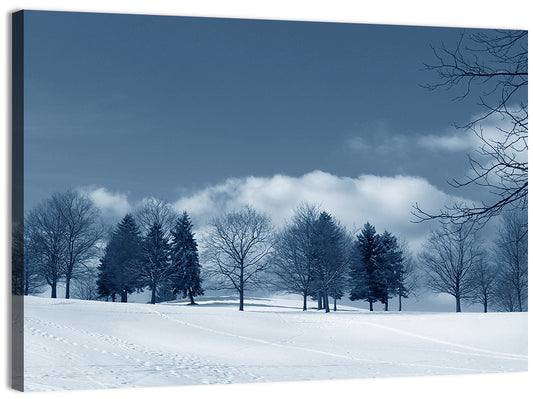 Snowy Field with Tracks Wall Art