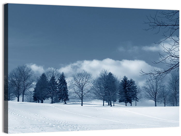 Snowy Field with Tracks Wall Art as a canvas print