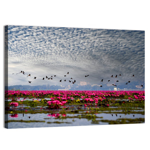 Red Lotus Lake Wall Art