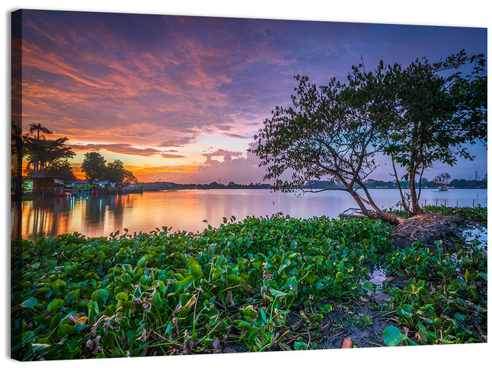 Cipondoh Lake Hyacinth Sunset Wall Art as a canvas print