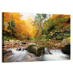Forest Stream in Autumn Wall Art