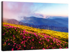 Alpine Rhododendron Meadow at Golden Hour Wall Art