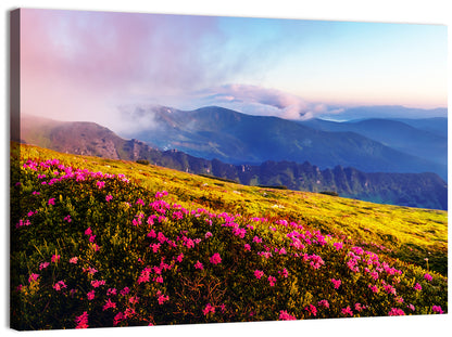 Alpine Rhododendron Meadow at Golden Hour Wall Art