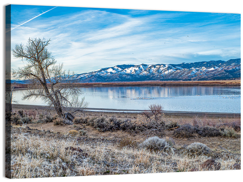 Winter Washoe Lake Morning Wall Art