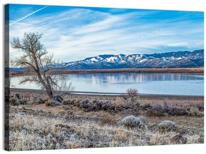 Winter Washoe Lake Morning Wall Art