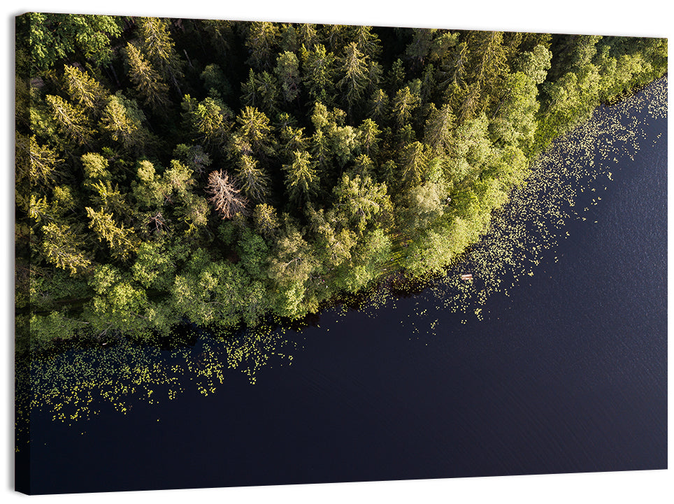 Aerial Lake with Red Boat Wall Art