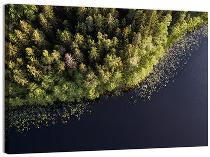 Aerial Lake with Red Boat Wall Art