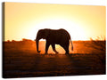 Golden Hour Elephant Silhouette Wall Art
