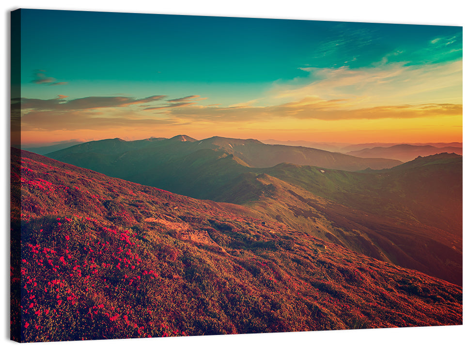 Alpine Rhododendrons at Golden Sunrise Wall Art