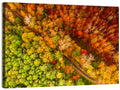 Winding Road Through Autumn Forest Wall Art