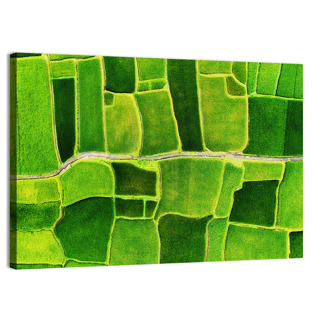 Verdant Rice Terrace Grid Wall Art, canvas print, landscape