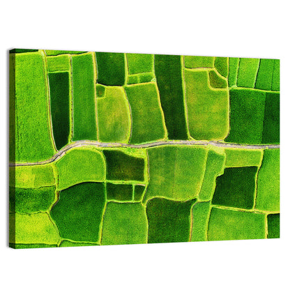 Verdant Rice Terrace Grid Wall Art