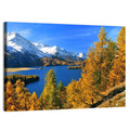 Silsersee Autumn Vista Wall Art
