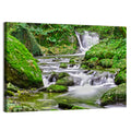 Mossy Forest Stream Wall Art