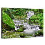 Mossy Forest Stream Wall Art