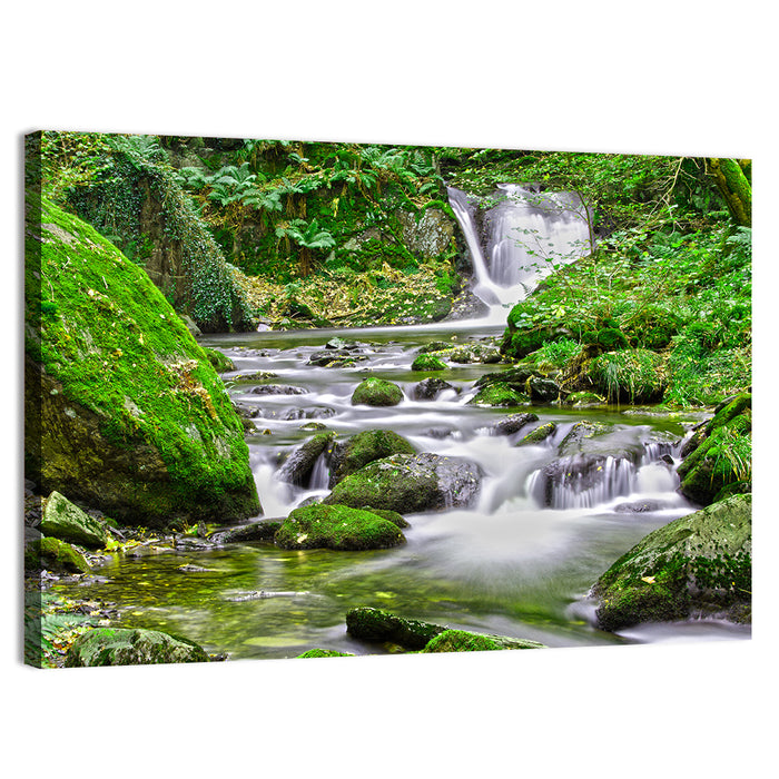 Mossy Forest Stream Wall Art as a canvas print