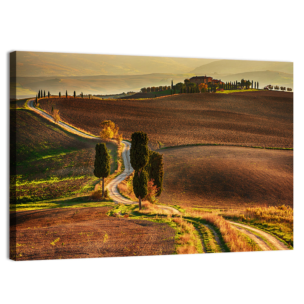 Val D’orcia Winding Golden Road Wall Art, canvas print, landscape