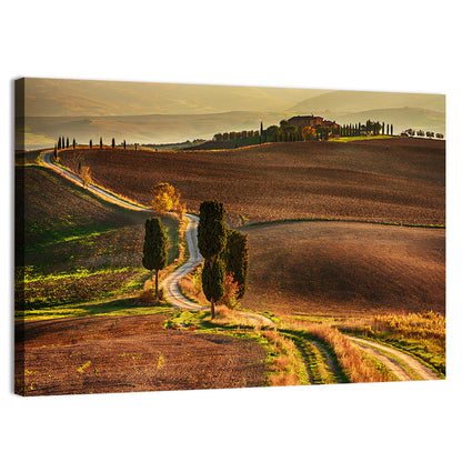 Val D’orcia Winding Golden Road Wall Art