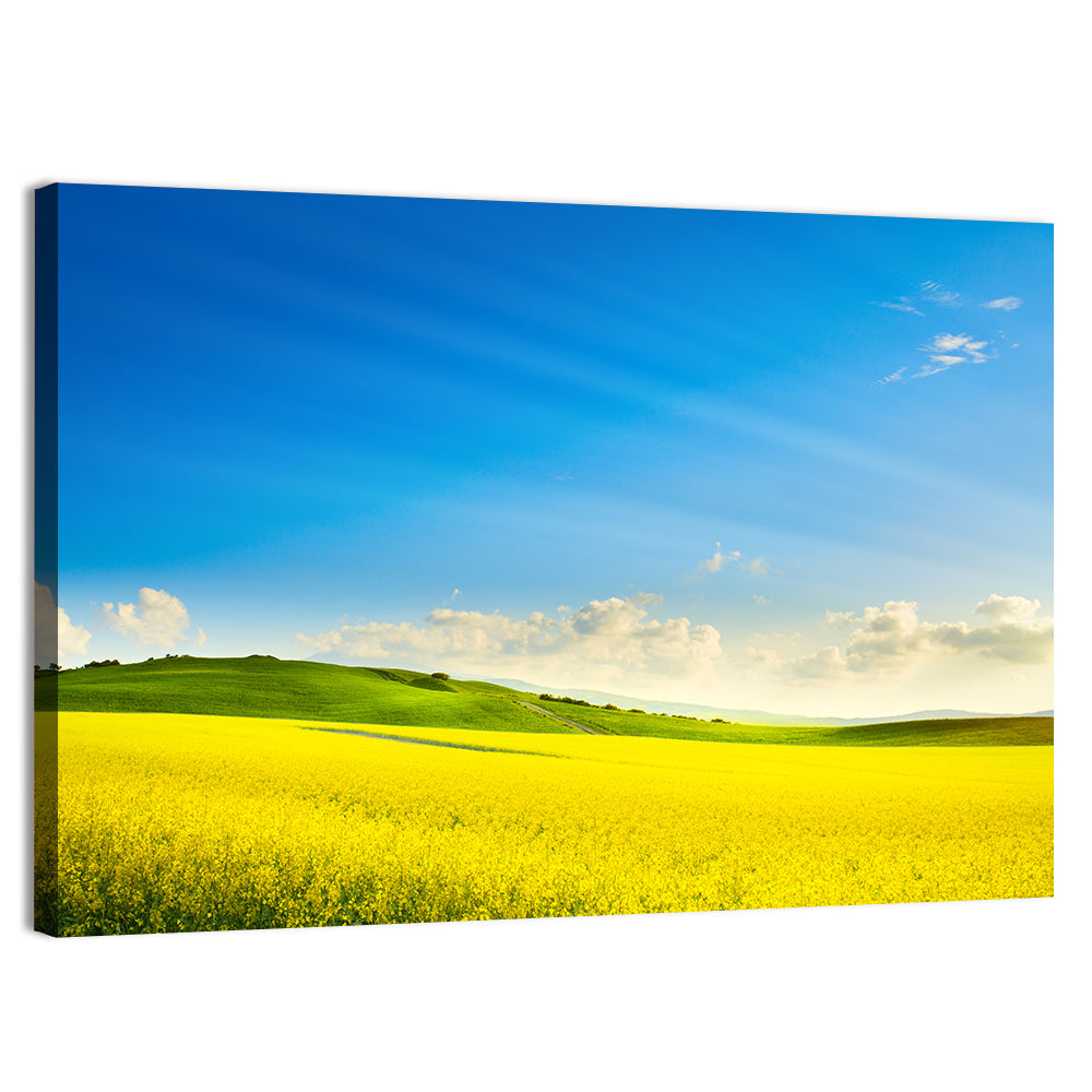 Spring Field Wall Art