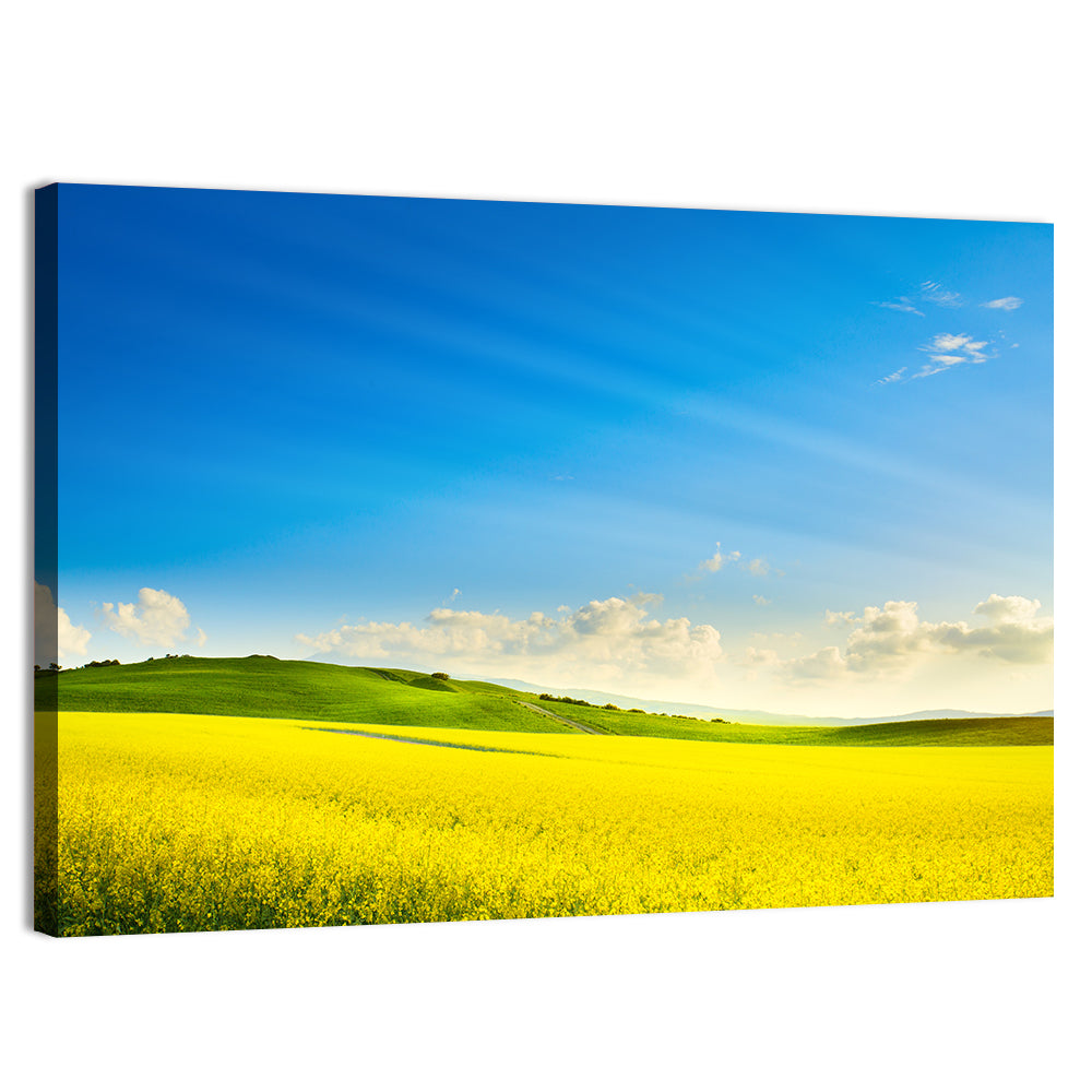 Rapeseed Field and Rolling Hills Under Blue Sky Wall Art