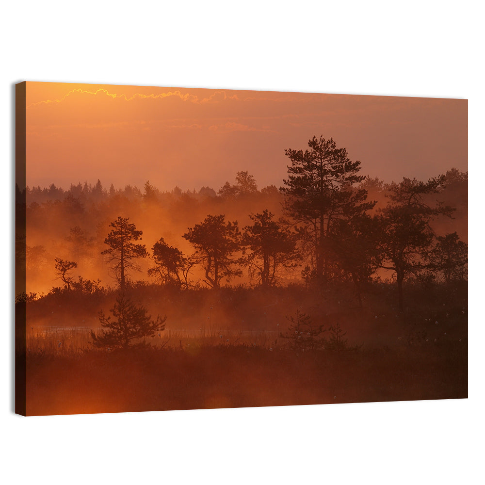 Kakerdaja Bog at Sunrise Wall Art